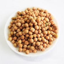 For sale chickpeas beans with export bulk chickpea